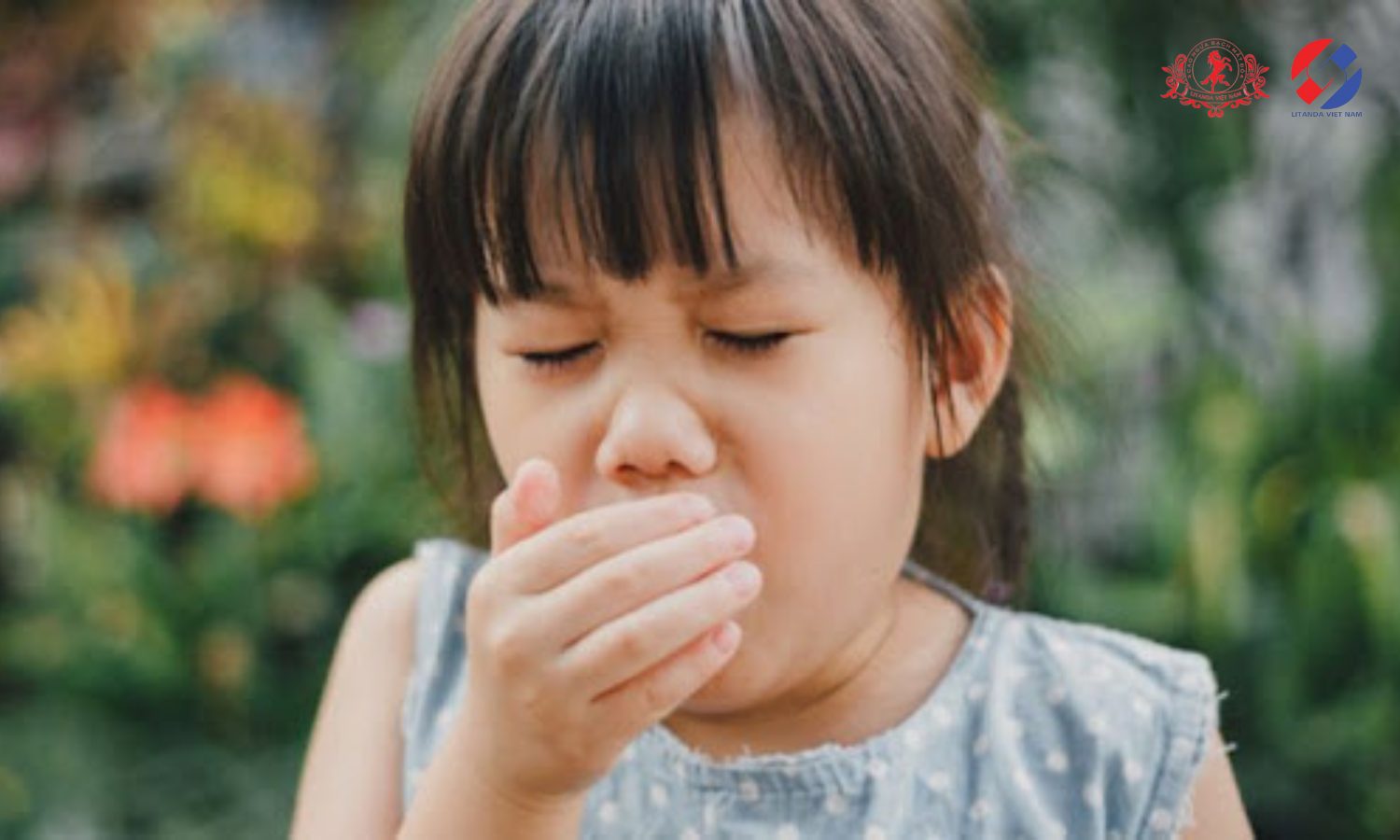 Phổi ngựa bạch ngâm mật ong giúp trẻ giảm ho và các vấn đề về hô hấp hiệu quả
