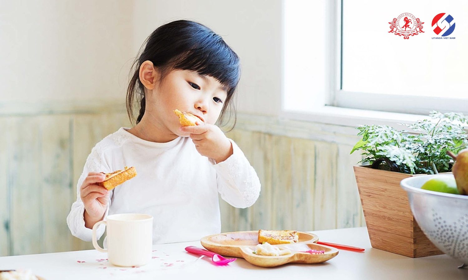 Phổi ngựa bạch ngâm mật ong có nhiều tác dụng tuyệt vời đối với trẻ em