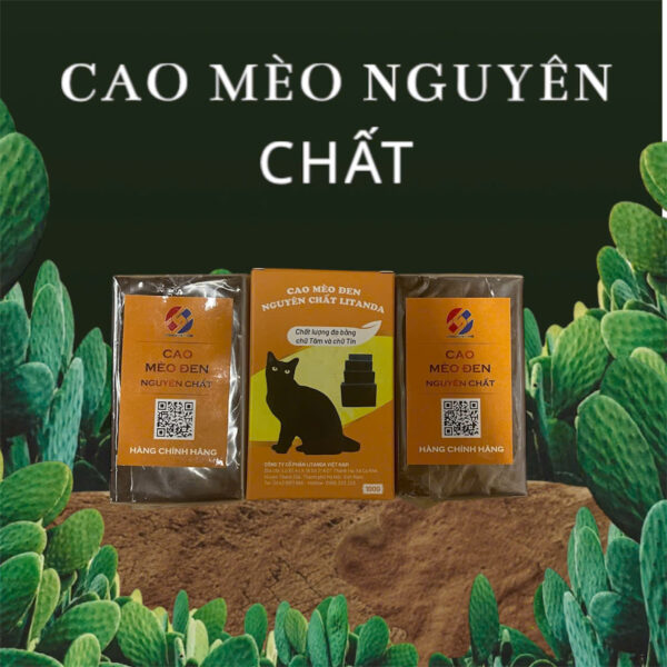 cao-meo-den-litanda-nguyen-chat-3